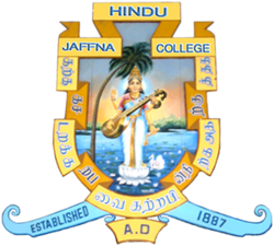 School Icon